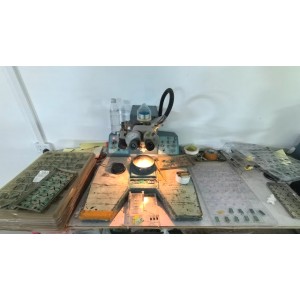 Yunfu Jiashengxin Clock Co., Ltd. Supplier Evaluation
