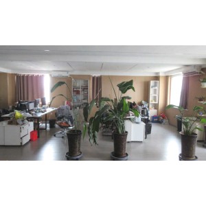Baoji Qixin Titanium Co., Ltd. Supplier Evaluation