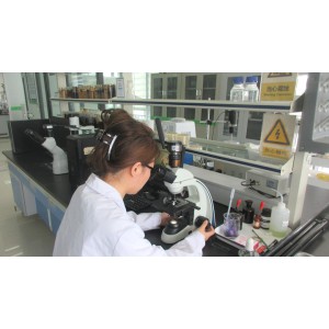 Shandong Jinmai Biotechnology Co., Ltd. Supplier Evaluation