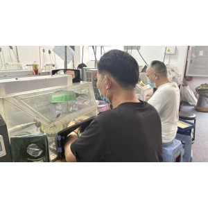 Zhongshan Rinntin Jewelry Co., Ltd. Supplier Evaluation