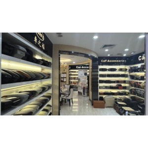 Foshan Carfu Technology Co., Ltd. Supplier Evaluation