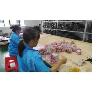 Shenzhen Jugaosheng Trade Co., Ltd. Supplier Evaluation
