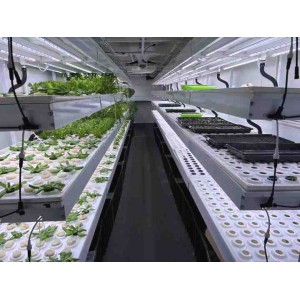 Jiangsu Skyplant Greenhouse Technology Co., Ltd. Supplier Evaluation
