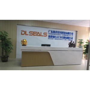 Guangdong Dlseals Technology Co., Ltd. Supplier Evaluation