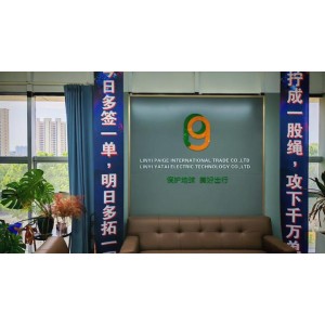 Linyi Paige Technology Co., Ltd. Supplier Evaluation