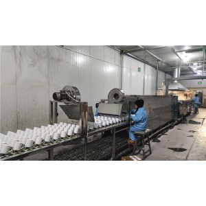 Shenzhen Enxiao Technology Co., Ltd. Supplier Evaluation