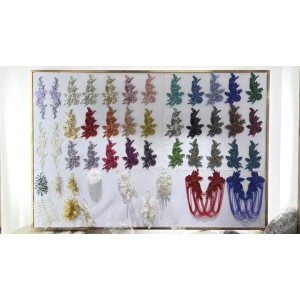 Guangzhou Keering Imp.& Exp. Co., Ltd. Supplier Evaluation