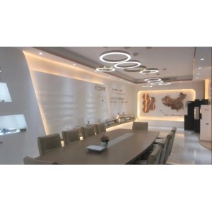 Jiangsu Shenxing Photoelectricity Medical Apparatus Co., Ltd. Supplier Evaluation