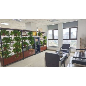 Henan Cando Machinery Co., Ltd. Supplier Evaluation