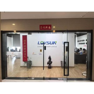 Lovsun Tek Co.Ltd Supplier Evaluation
