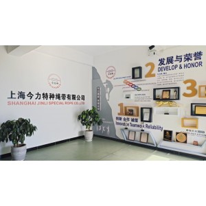 Shanghai Jinli Special Rope Co., Ltd. Supplier Evaluation