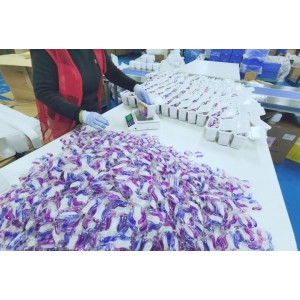 Guangzhou Alice Daily Chemical Co., Ltd. Supplier Evaluation
