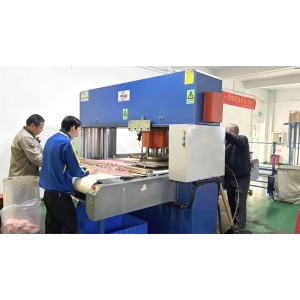 Shenzhen Youyue Technology Co., Ltd. Supplier Evaluation