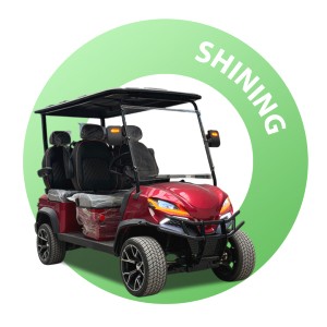 Qingdao Shining Vehicle Co., Ltd. Supplier Evaluation