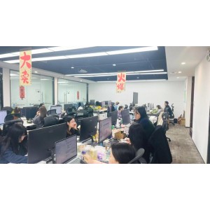 Shenzhen Weizhisheng Network Technology Co., Ltd. Supplier Evaluation