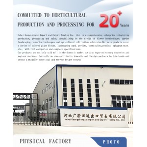 Hebei Guangchengze Import And Export Trading Co., Ltd. Supplier Evaluation