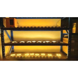 Zhongshan Haoshiguang Lighting & Electric Appliance Co., Ltd. Supplier Evaluation