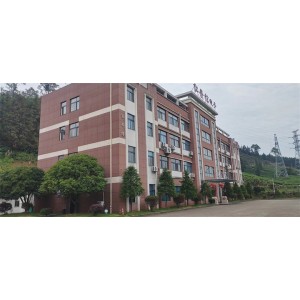 Zhejiang Epowsens Electronics Co., Ltd. Supplier Evaluation
