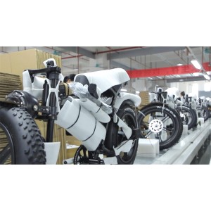 Smart Ride Technology Limited Supplier Evaluation