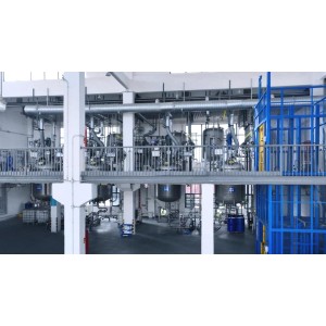 Guangdong Laya New Chemical Technology Co., Ltd. Supplier Evaluation