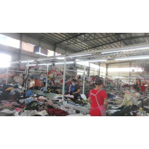 Guangdong Zagumi Renewable Resources Co., Ltd. Supplier Evaluation