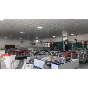 Henan Keruijia International Trade Co., Ltd. Supplier Evaluation