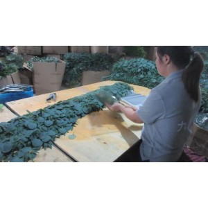 Zhumadian Jiuyi Industry And Trade Co., Ltd. Supplier Evaluation