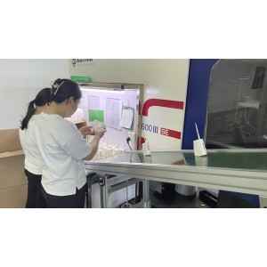 Dongguan Ruikangqi Intelligent Technology Co., Ltd. Supplier Evaluation