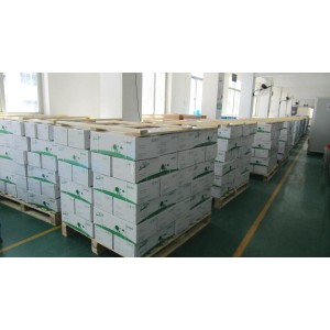 Wenzhou Xinchi International Trade Co., Ltd. Supplier Evaluation