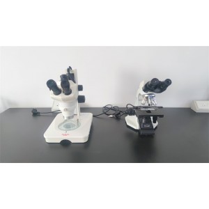 Hubei Yizhilin Trading Co., Ltd. Supplier Evaluation