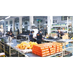 Masuma (Guangzhou) International Trading Co., Ltd. Supplier Evaluation