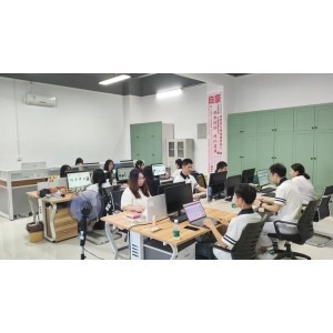 Icen Technology Company Limited Supplier Evaluation