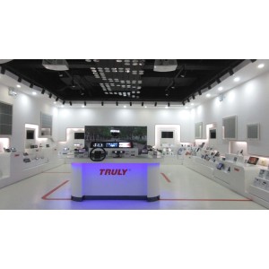 Truly Instrument Ltd. Supplier Evaluation