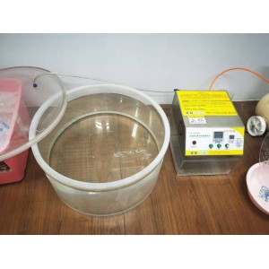 Shanghai Boyang Packaging Technology Co., Ltd. Supplier Evaluation