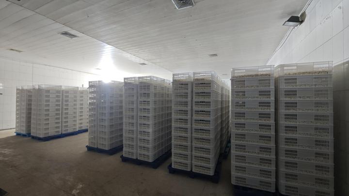 Shandong Sinofarm Food Co., Ltd.