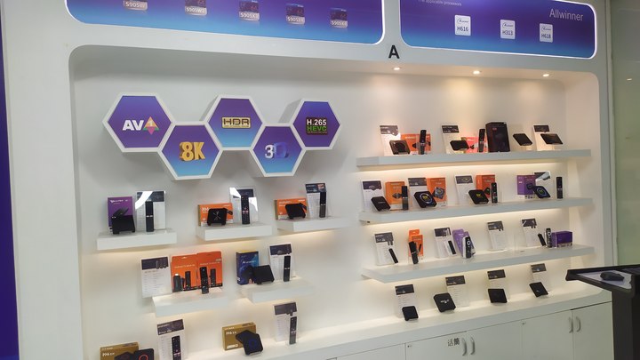 Shenzhen Topleo Technology Limited