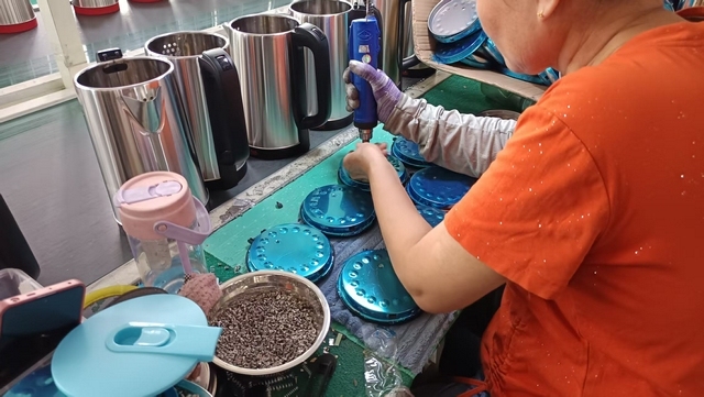 Lianjiang Kinma Electrical Appliances Co., Ltd.