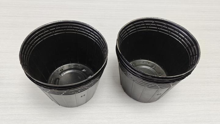 Shandong Evergreen Industries Ltd.