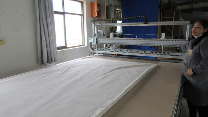 Shaanxi Shengyi Industry Co., Ltd.