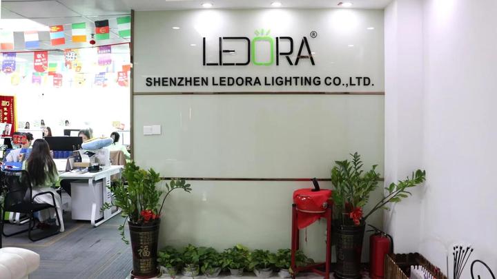 Shenzhen Ledora Lighting Co., Ltd.
