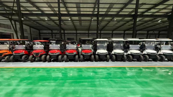 Shandong Duya New Energy Vehicle Industry Co., Ltd.