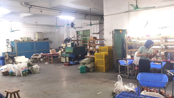 Huidong County Jilong Mingteng Shoe Factory