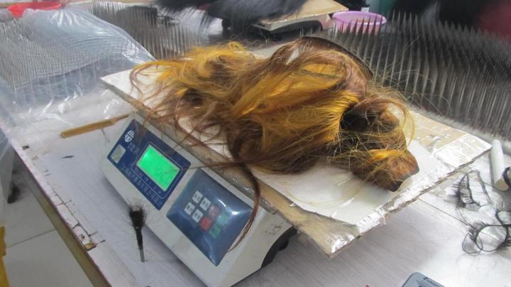 Yuzhou Weiqi Hair Products Co., Ltd.
