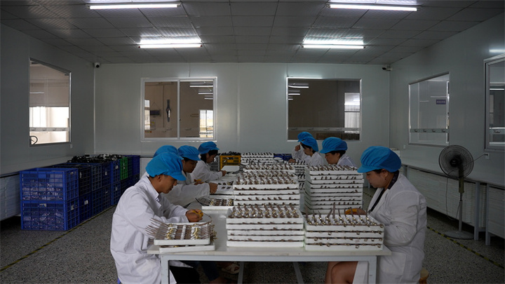 Fujian Virtue Industry Co., Ltd.