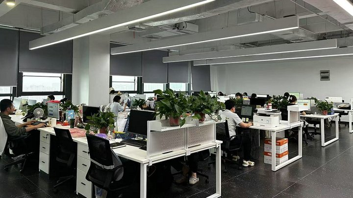 Bluesun Solar Co., Ltd.
