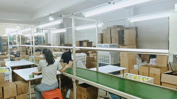 Guangdong Baisi Toys Co., Ltd.