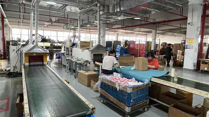 Topko Product Group Ltd.
