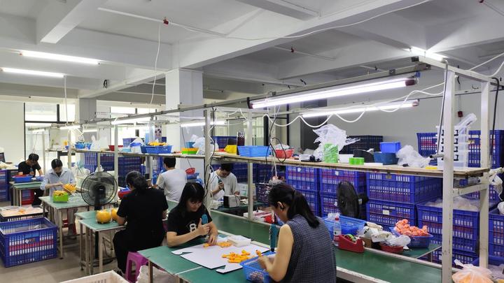 Shantou Zhiding Technology Co., Ltd.
