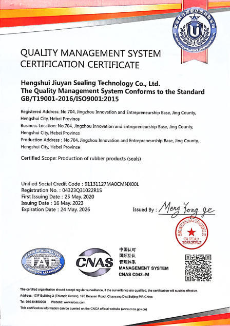 Hengshui Jiuyan Sealing Technology Co., Ltd.