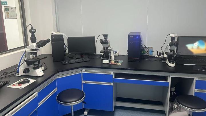 Hunan Tianhong Traditional Chinese Medicine Technology Co., Ltd.